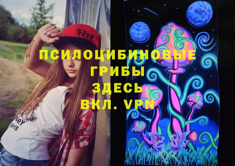 Псилоцибиновые грибы Psilocybe  Оса 