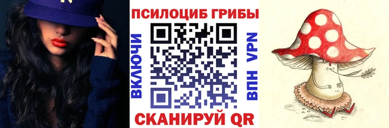 это формула  Оса  Псилоцибиновые грибы MAGIC MUSHROOMS  где можно купить наркотик  МЕГА ONION 